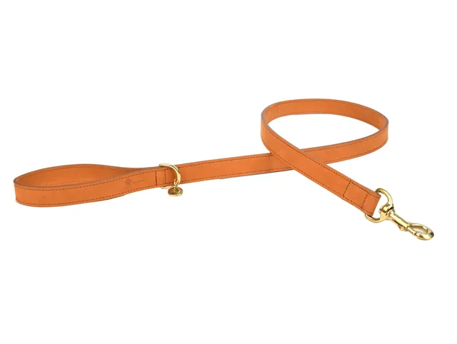Fantail lederen leiband cognac met gouden clip - premium leiband voor honden bij Bopets